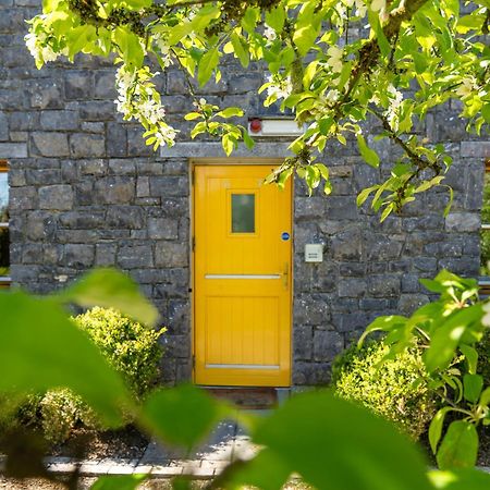 Burren Court Lodge Ballyvaughan Exterior foto